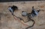 2010-2015 Toyota Prius Hybrid ABS Brake Booster Pump Actuator OEM JDM Anti-Lock Assembly