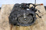 1999-2003 LEXUS RX300 Automatic Transmission FWD 2WD 3.0L V6 JDM 1MZ